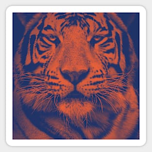 Orange and blue tiger Sticker